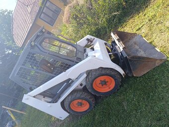 Bobcat - 10