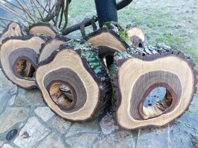 Koláče -  orechové drevo, fošne, rezivo - 10