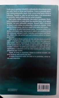 MIX DOBRÝCH ROMÁNOV - 10