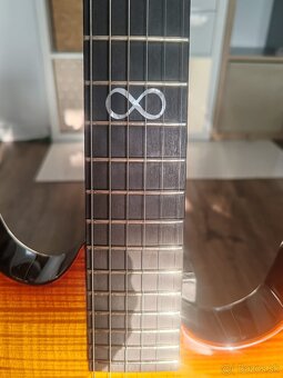 Gitary Chapman ml1 a Washburn x24 - 10