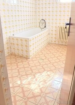 Rodinný dom vo vyhľadávanej lokalite Trebišova - 10