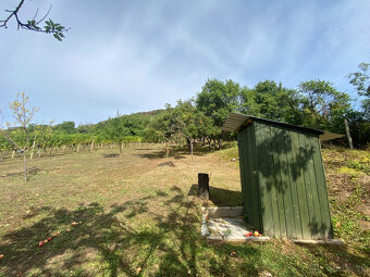 PREDAJ Chatka s nádhernou vinicou, Hrušov - 10