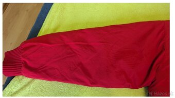 Pánska zimná bunda The North Face - 10