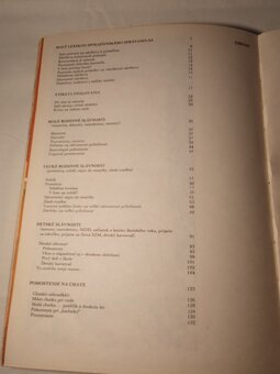 SLÁVNOSTNÉ PRÍLEŽITOSTI - 10