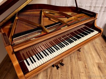 Nepremeškajte Najmenšie klavírne krídlo - 10