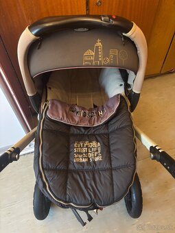 Kocik Concord Wanderer - 10