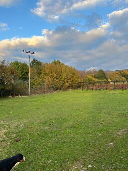 Ustajnenie v Lehote pod Vtáčnikom - 10
