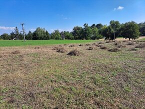Hodinový manžel-Šikovní Pracovníci - 10