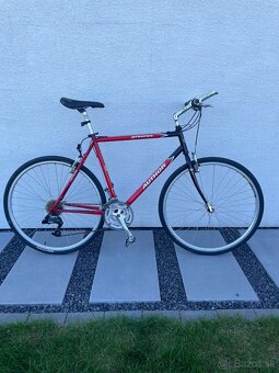 Pánsky a dámsky cestný bicykel - 10