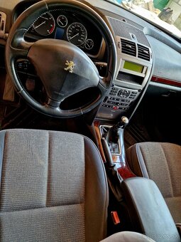 407 SW executive 2.0Hdi - 10
