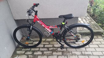 Detsky bicykel CTM Willy 24" - 10