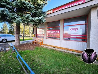 EXKLUZÍVNE - Podnikateľský objekt na predaj/ Blážovce - 10