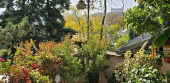 Štýlový secesný dom pod Slavínom s panoramatickým výhľadom - 10