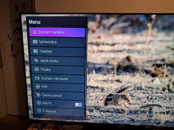 LED Full HD hevc.265 Smart - 10