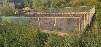 Predám siete na voliere - 10