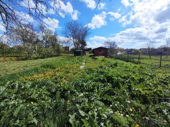 Predaj pozemok so záhradným domčekom okres Levice - 10