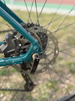 Bicykel Trek Dual Sport 2, Juniper - 10
