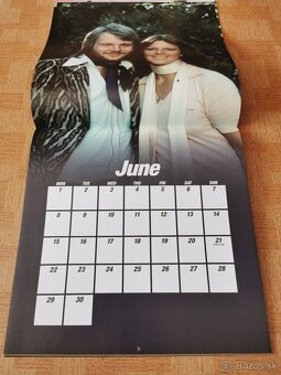 ABBA CALENDAR 2009 - 10