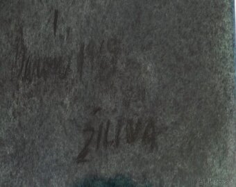 Umelecká zbierka obrazov Baron - 10