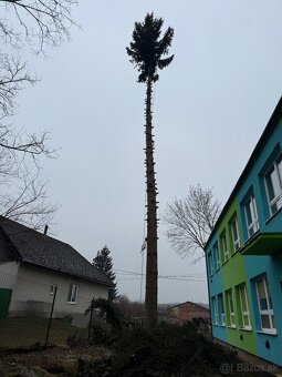 Výrub a orez stromov/Arboristika - 10