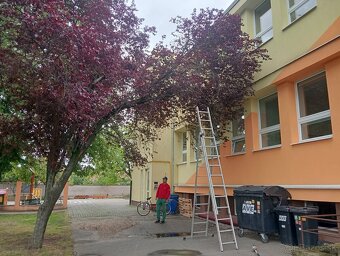 Ponúkame kosenie pozemkov - 10