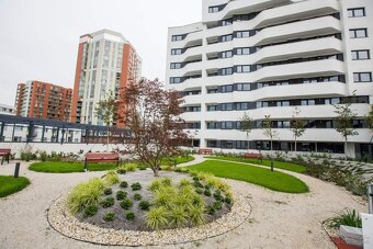 Apartment for short term rent / byt na krátkodobý prenájom. - 10