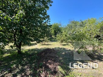 RD Svodín, krásny pozemok 1317 m2, tichá ulička, ovocný sad - 10