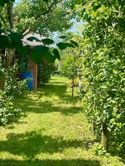 RD Preseľany, 4 izby, pozemok - 10