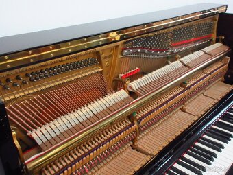 Steinway and Sons najvyššía prémiová kvalita - 10