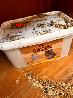 Predám Činčilu REZEROVANÉ VŠETKY - 10