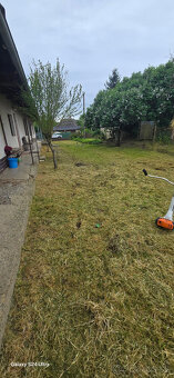 Výrub stromov - Orez - 10