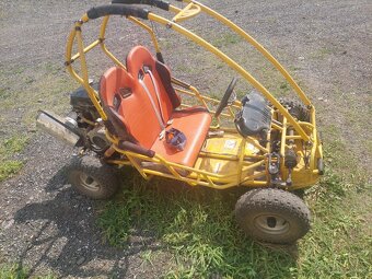 Buggy - 10