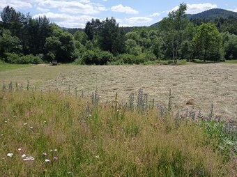 Seno pre drobné cicavce balené 1 KG - 10