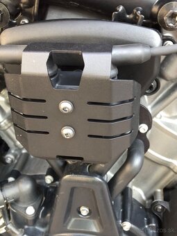 HD PAN AMERICA 1250 - 10