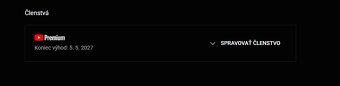 YouTube PREMIUM 12 M - 10