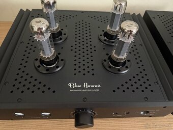Stax SR-X9000 a HeadAmp model Blue Hawaii - 10