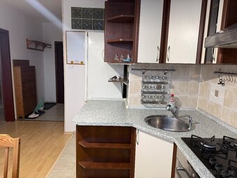 Na prenájom 1 izbový byt pri auparku - Voľný ihned - 10