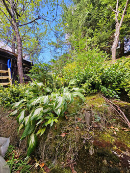 PREDAJ: záhradná chatka Padličkovo (Brezno) - 10