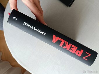 Z pekla  (Alan Moore) - 10