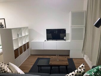 Prenájom 1 iz.novostvavba Bory, ul.M.Bučiča, zariadený,DNV - 10