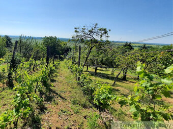 Viničný domček s vinicou a ovocným sadom v Malých Kozmálov - 10