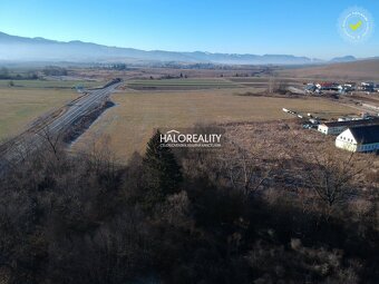 HALO reality - Predaj, pozemok pre rodinný dom 4906 m2 Gôt - 10