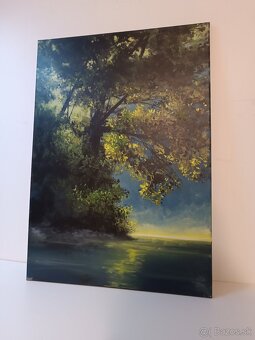 Akrylové obrazy na plátne 50x70 - 10