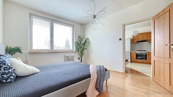 PRÍJEMNÁ 2 GARSÓNKA - NEZÁBUDKOVÁ, RUŽINOV, BRATISLAVA - 10