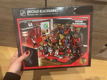 nhl chicago blackhawks - 10