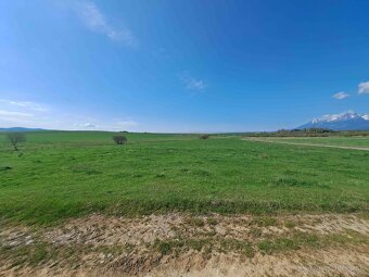 Podhorany – 6.449 m2 ORNÁ PÔDA v podiele 1/1 – Predaj - 10
