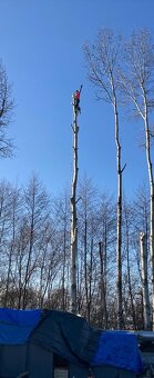 Štiepkovanie konárov - 10