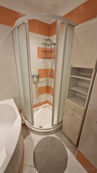 Prenajom 3 izbovy byt Bratislava centrum - 10