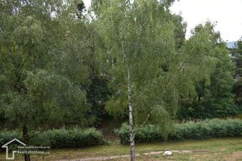 3 izbový tehlový byt s balkónom - 10