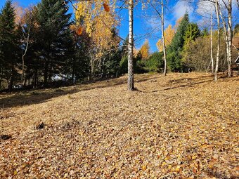 Predam chatu s pozemkom 1978m2 Drienica - 10